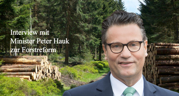 Interview mit Minister Peter Hauk MdL zur Forstreform
