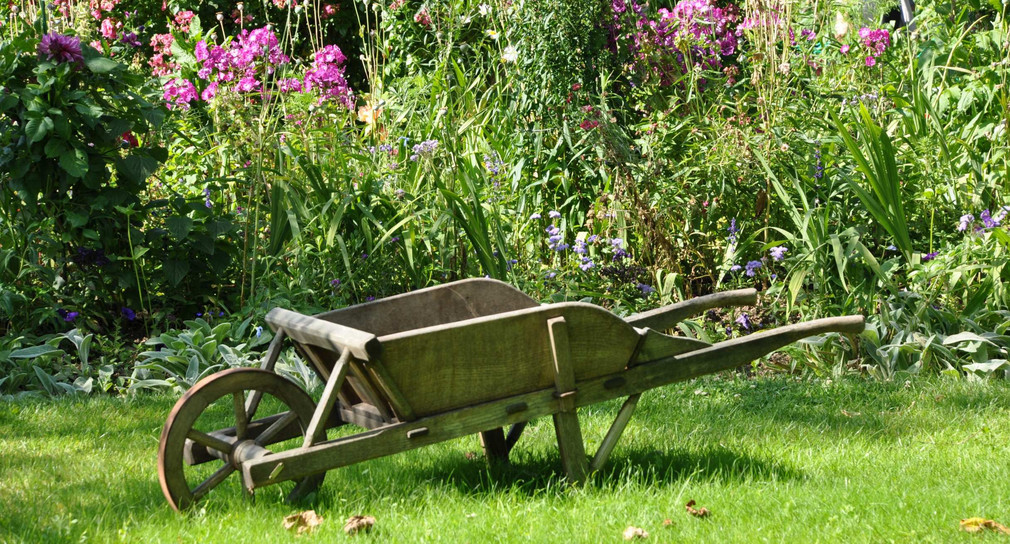 Naturgarten