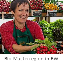 Biomusterregion