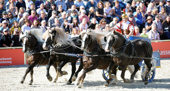 Hengstparade in Marbach Foto: HuL/Stephan Kube