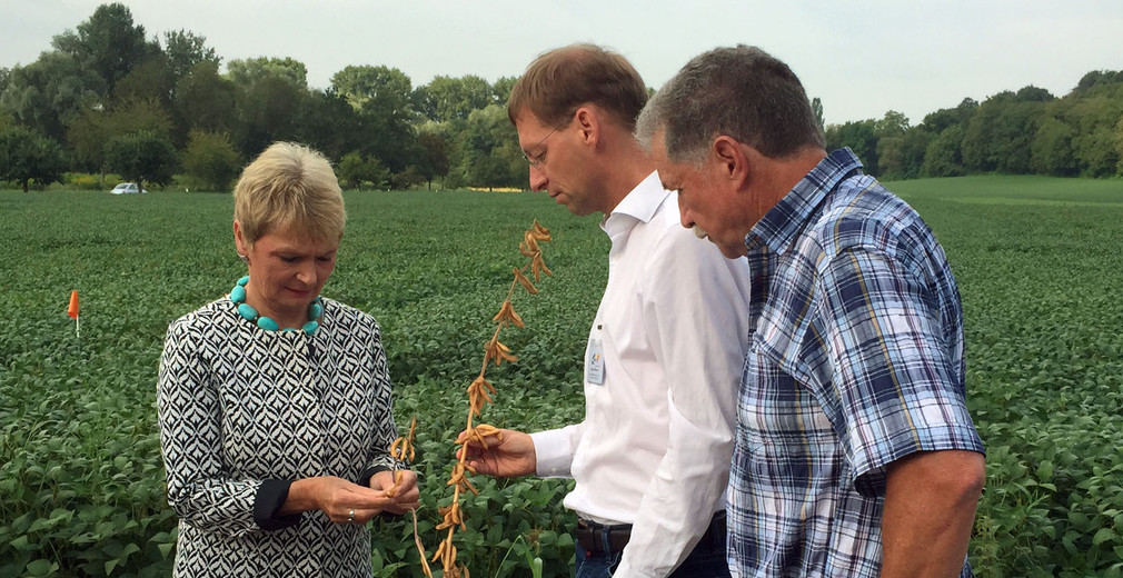 Staatssekretärin Friedlinde Gurr-Hirsch MdL (links) besichtigte in Südbaden ein Feld, auf dem ökologisch Soja angebaut wird.