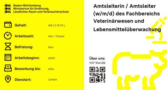Teaser-Bild Amtsleiterin / Amtsleiter (w/m/d) des Fachbereichs Veterinärwesen und  Lebensmittelüberwachung