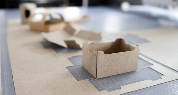 Energiepark Hahnennest GmbH & Co. KG und OutNature GmbH mit der Bewerbung „Von der Pflanze bis zum Papier – Bioökonomie bis zum Ende gedacht“