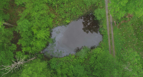 Wasserrückhalt im Wald