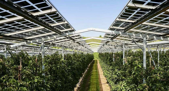 Agri-PV, Kressbronn, Obsthof Bernhard