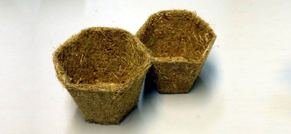 Fiber Engineering GmbH mit der Bewerbung „Heimkompostierbarer Pflanztopf aus lokalen Faserreststoffen“