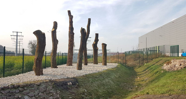 BW Blüht Projekt: Biodiv@SICK Initiative – Biodiversität im industriellen Kontext