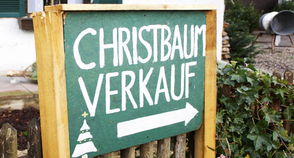 Verkauf von Weihnachtsbäumen