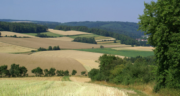 Weg Hecke Landschaft