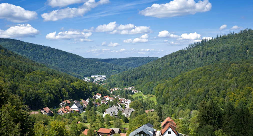 Blick auf Bad Herrenalb