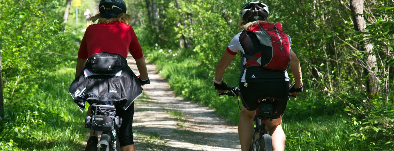 Zwei Radfahrer auf einem Weg durch den Wald