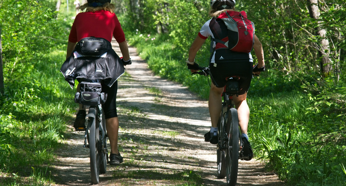 Zwei Radfahrer auf einem Weg durch den Wald