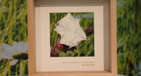 Auszeichnung Bioökonomiepreis 2022