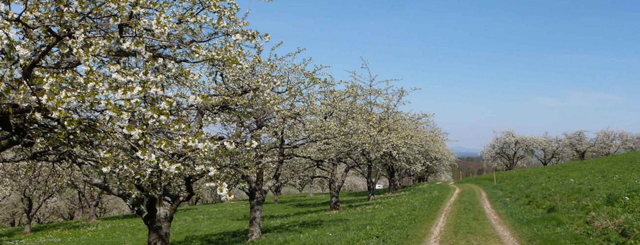 Biodiversität