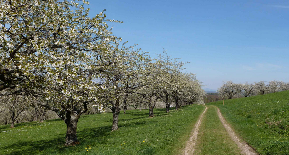 Biodiversität