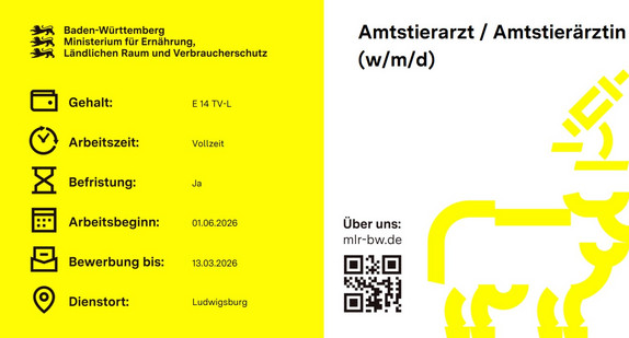 Graphische Darstellung Stellenausschreibung