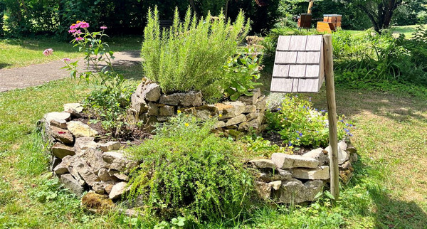 BW blüht  Projekt: Schule im Grünen - Wohlfühloase Pausenbereich