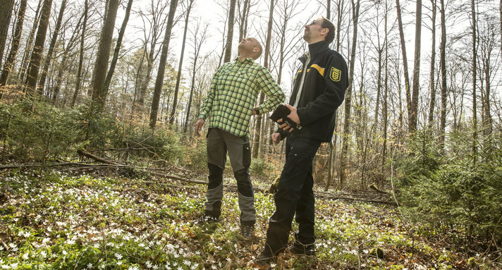 Beraten, Betreuen, Fördern und Wald erlebbar machen