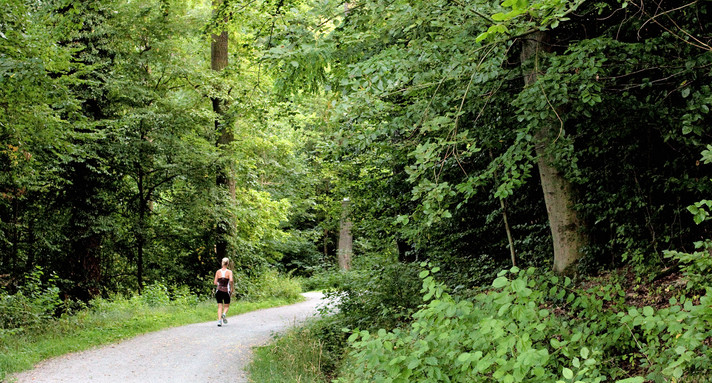 Jogger im Wald