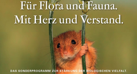 BW blüht!