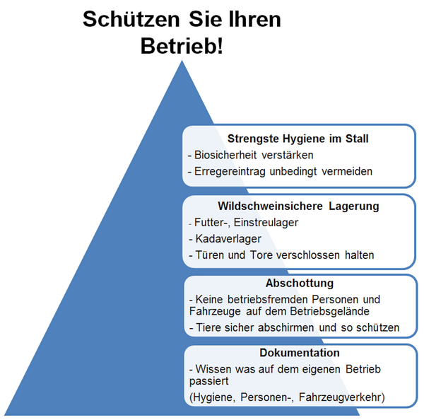 Afrikanische Schweinepest (ASP)