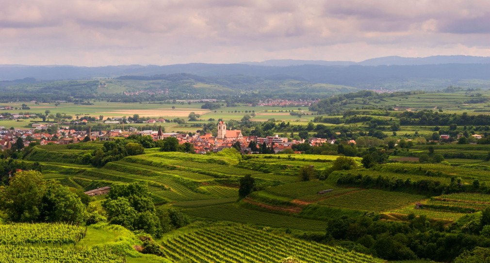 Landschaft Kaiserstuhl