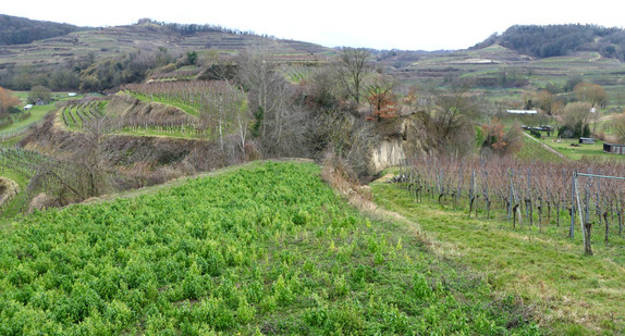 Kaiserstuhl