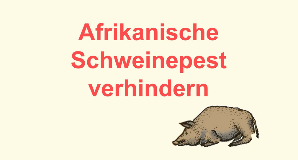 ASP verhindern