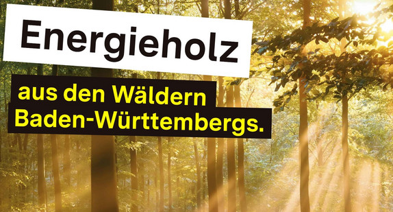 Holzenergie trägt zu Wärmewende und Klimaschutz bei