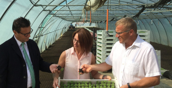 Minister Peter Hauk MdL (links) besuchte bei seiner Sommertour 2016 verschiedene landwirtschaftliche Betriebe in Baden-Württemberg – hier den Bioland-Betrieb Arzt in Ditzingen.