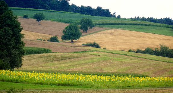 Landschaftsbild