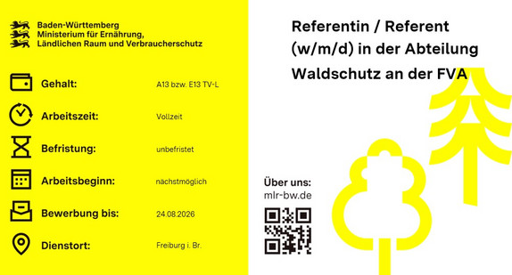 Teaserbild Stellenausschreibung Referentin / Referent (w/m/d) bei der Forstlichen Versuchs- und Forschungsanstalt Baden-Württemberg (FVA)
