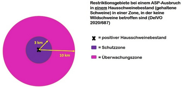 Schutz- und Überwachungszone bei einem Ausbruch der ASP beim Hausschwein