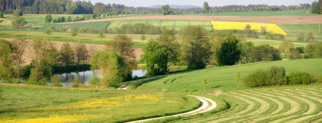 Landentwicklung