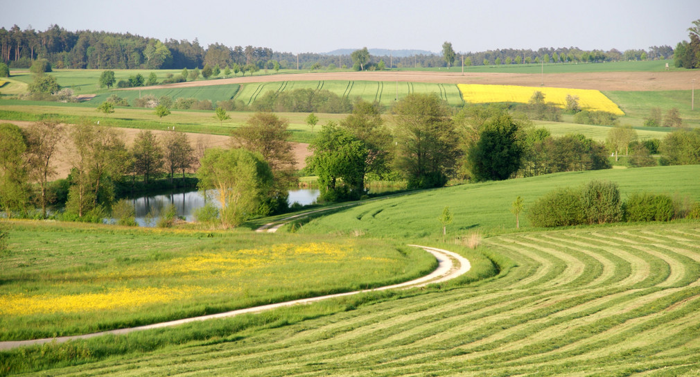 Landentwicklung