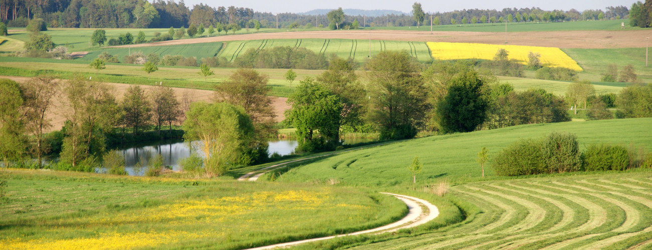 Landentwicklung