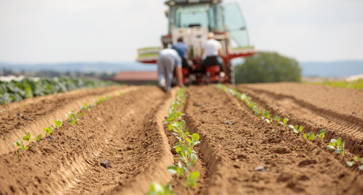 Arbeiten auf dem Feld