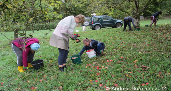 BW Blüht Projekt: Pflege Streuobstwiesen und Herstellung von Apfelsaft