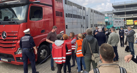   Tiertransportkontrollen am Autobahnkreuz Walldorf: Zum Schutz von Tieren und für eine erhöhte Verkehrssicherheit führen die unteren Veterinärbehörden gemeinsam mit der Polizei zweimal jährlich mehrwöchige Schwerpunktkontrollen durch.