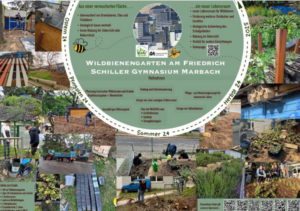 Collage zum Wildbiengarten des FSG Marbach 
