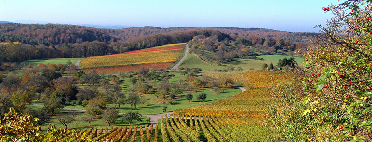 Naturpark Stromberg