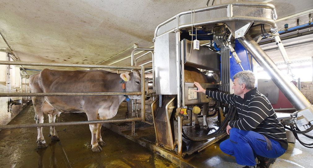 Neues Milchgesetz wird Krisensituation etwas entspannen ...
