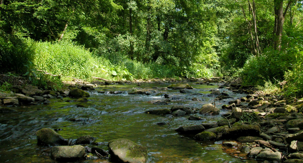 Elzbach im Odennwald