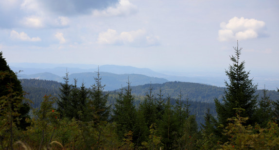 Schwarzwald