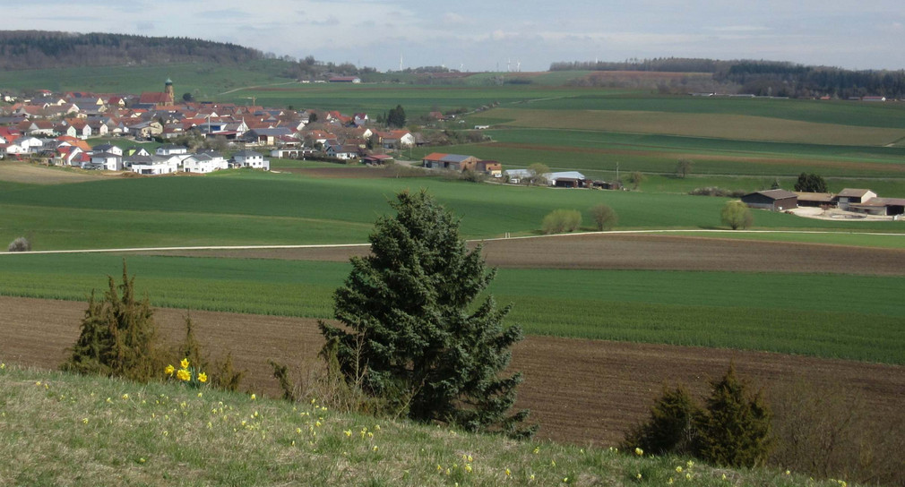 Blick auf Röttingen