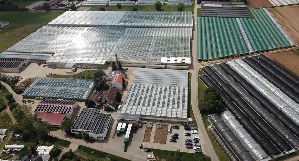 Landwirtschaft Leistungsfähiger Gemüsebau in Baden-Württemberg