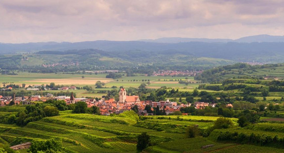 Landschaft am Kaiserstuhl