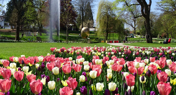 Symbolbild Landesgartenschau