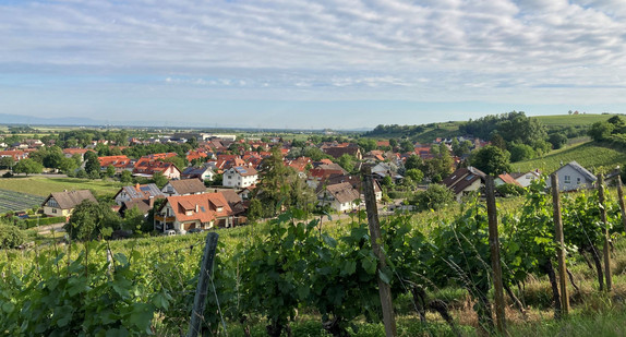 Blick auf Müllheim-Hügelheim