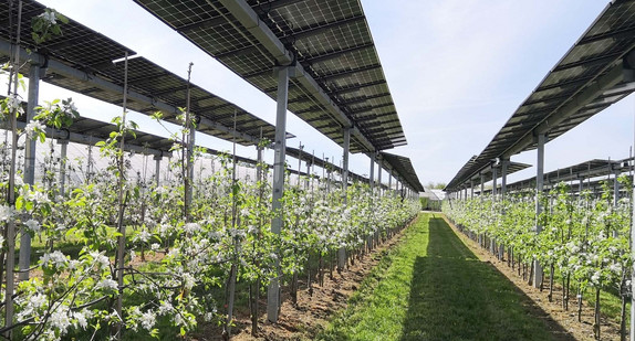 Agri-PV-Anlage